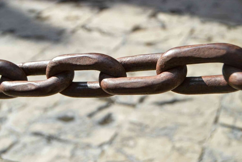 Why External Links Are Critical for Search Visibility